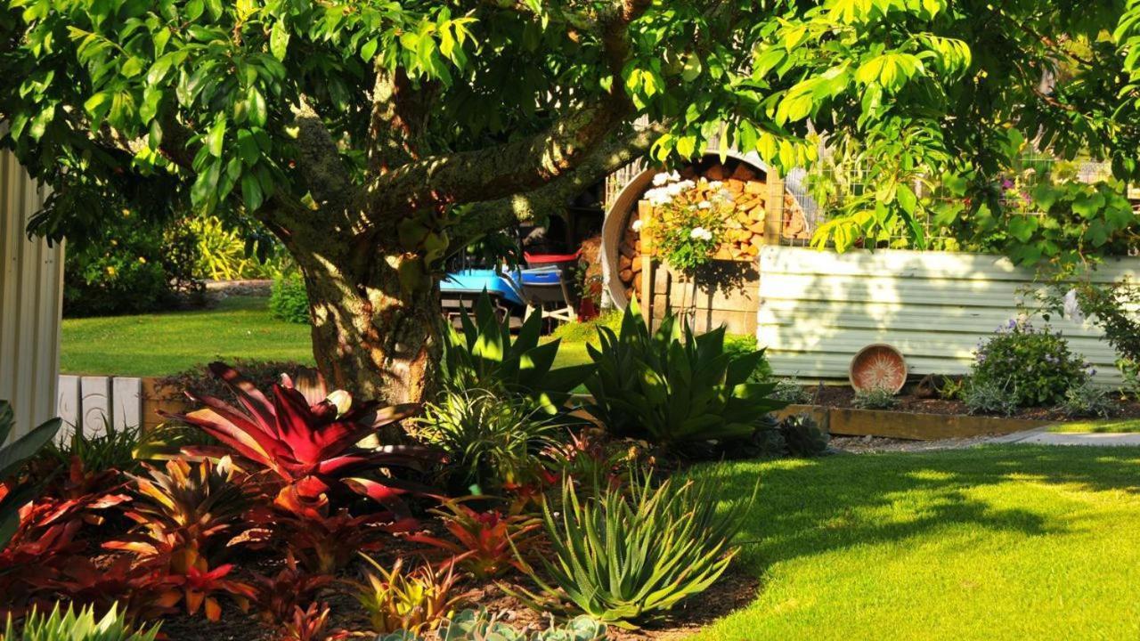 Rose Cottage Tryphena Exterior photo